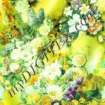 Colour:K