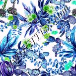 Colour:C