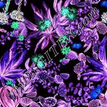 Colour:F