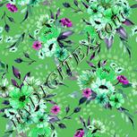 Colour:C