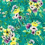 Colour:K