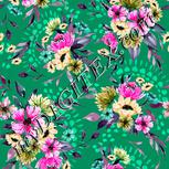 Colour:B