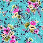 Colour:B