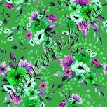 Colour:C
