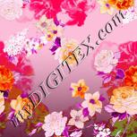 Colour:B