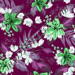 Colour:C
