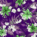 Colour:D