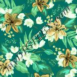 Colour:K
