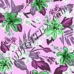 Colour:C