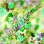 Colour:D