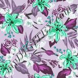 Colour:C