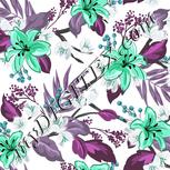 Colour:C