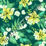 Colour:K