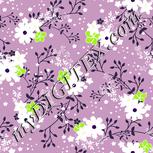 Colour:D