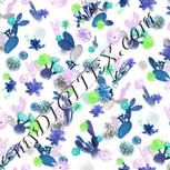 Colour:C