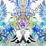 Colour:A