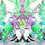 Colour:B