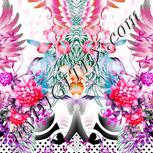 Colour:C