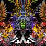 Colour:F