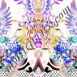 Colour:J
