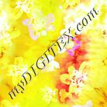 Colour:K
