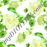 Colour:K
