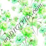Colour:D