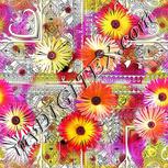 Colour:A