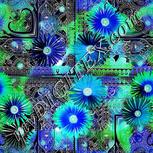 Colour:F