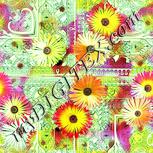 Colour:K