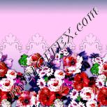 Colour:B