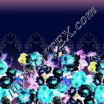 Colour:F
