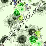 Colour:D