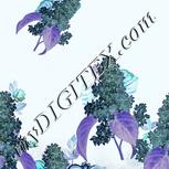 Colour:F