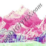Colour:C