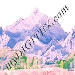 Colour:J