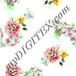 Colour:K