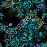 Colour:F