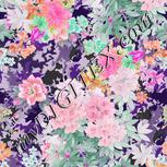 Colour:B