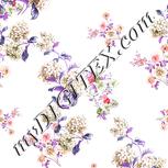 Colour:B