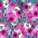 Colour:B