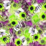 Colour:D