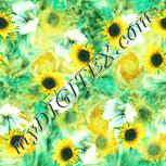 Colour:K