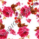 Colour:J