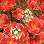 Colour:J