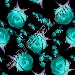 Colour:F