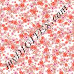 Colour:B