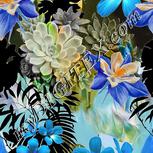 Colour:A