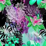 Colour:B