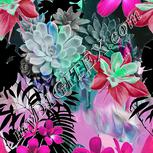 Colour:C